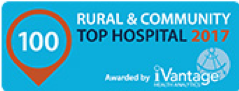 Top 100 Rural &amp; Community Hospitals - iVantage 2017