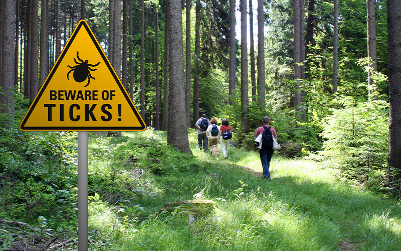 Beware of ticks sign in woods