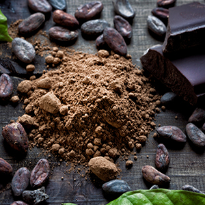 Cacao beans and chocolate