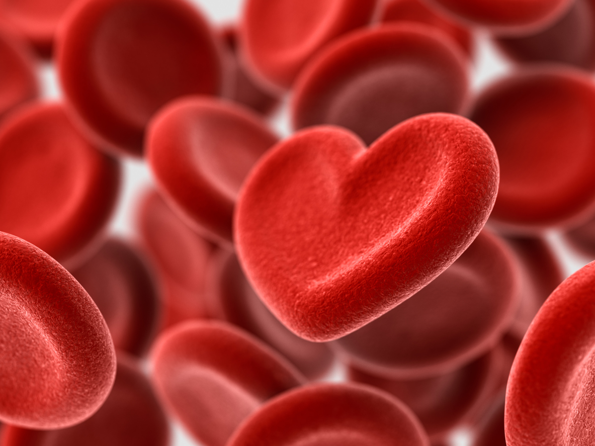 Red blood cells shaped like hearts