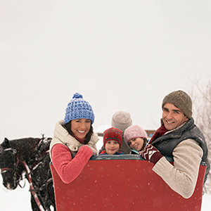 a family riding in a horse-drawn sled in winter