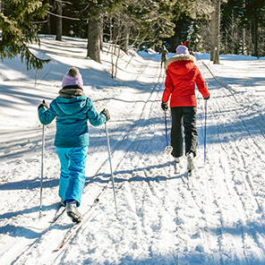 parent and child cross country skiing